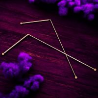 dowsing rods-Photoroom (1)